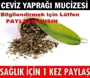 11207358_896163707117298_5486707786307378997_n[1]