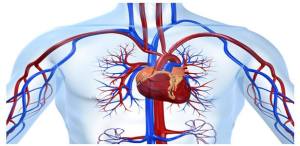 11218751_10153379848070902_3263802017179018101_n[1]