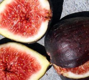 11231691_489093967923887_4550149688672117872_n[2]