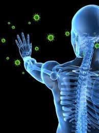 11231744_820322758036135_6435944713846314001_n[1]