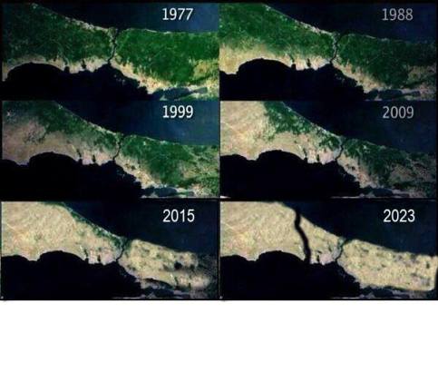 11800171_10153120349438562_7527734026846886771_n[1]