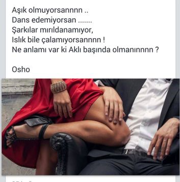 11823098_157638194567927_86418608144146375_o[1]