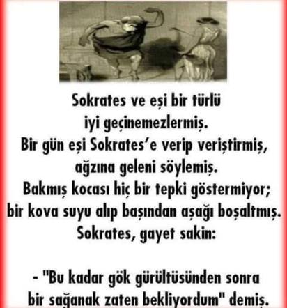 11825030_1481216435522305_5657063343207736131_n[1]