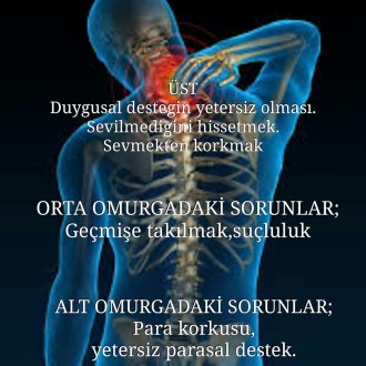 11825038_405570129639282_8396973223702330181_n[2]