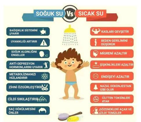 11825112_10155877953180557_621633765595093232_n[1]