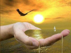 11825208_841917259237381_9159745609728845402_n[1]