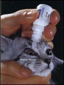 11831803_880282092060195_2471111827201325032_n[1]