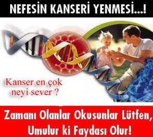 11836916_10200675029873406_1734026046059373351_n[1]