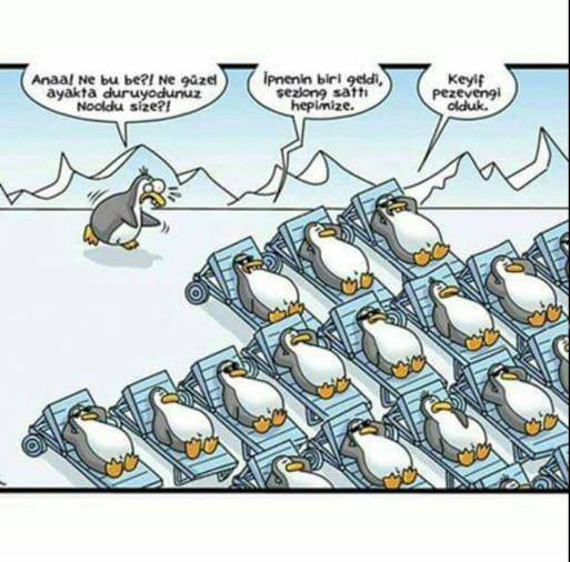 11873397_10153519414527878_104624946103846495_n[1]