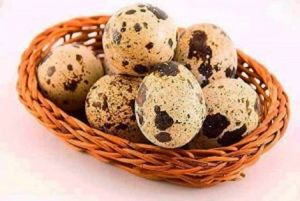 11887952_488418661324751_6740130810314909585_n[1]