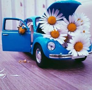 11891080_10153929395949879_2691145277986926616_n[1]