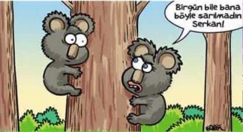 11891258_10153275199603791_2419905232892989798_n[1]