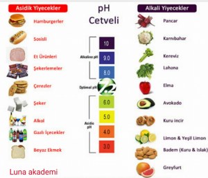 11900064_411394325723529_5740983142754535296_n[1]