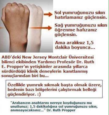 11902529_10155956777235557_6156019663995684973_n[1]