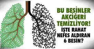 11951191_905699566163712_2310936285416757689_n[1]