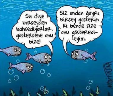 1514619_410621019137320_3541851614645444353_n[1]