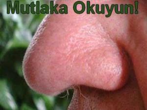 32170_10200135976095797_1241426775_n[1]