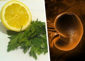 1-kidney-lemon[1]