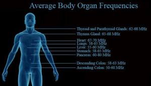10155114_506166806172599_8192851660485865823_n[1]