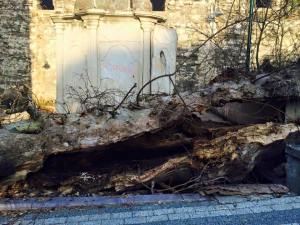 10290194_865798643482256_8712140533206193516_n[1]