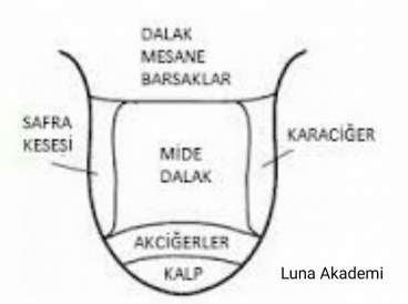 10626703_421415604721401_8451510382615314130_n[2]