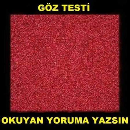 11145134_819405571491227_1020254640334999577_n[1]