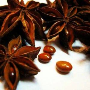 11350760_494893394010611_4750121029068036236_n[1]