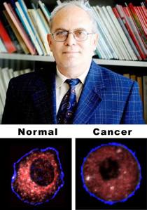 11540944_846954372051062_7094234949776966198_n[1]