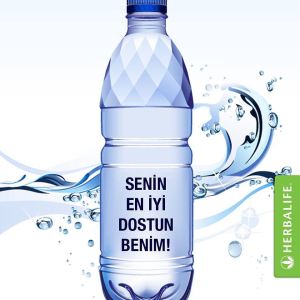 11880680_975731419155644_2713761104787217348_n[2]