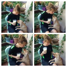 11924960_979962195399233_2262772948252417140_n[1]