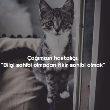 11954682_1137093499653959_6777174265472945149_n[1]