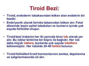 11986915_1181132375233879_7443601413258773913_n[1]