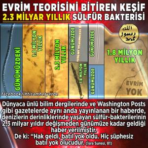 11988316_984881878229482_1467986014049156547_n[1]