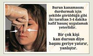 11988642_1618116838457184_1738593008364049927_n[1]