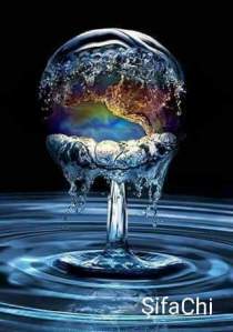 12002326_10206399479698003_3127991371604969728_n[1]