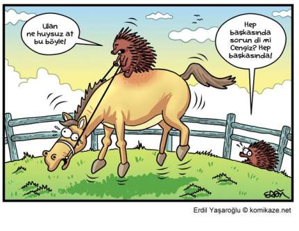 12006075_10153791428618641_6571364834383860923_n[1]