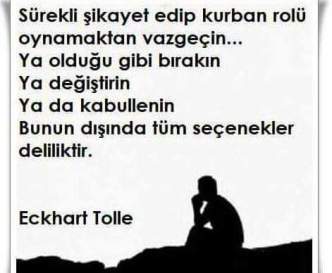 12006145_1667901000120368_5506161346934780055_n[1]