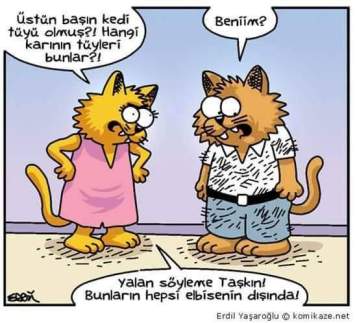 12038478_10153640388114699_8044123032543636288_n[1]