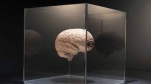 12039367_10156054017630181_7883706667775409476_n[1]