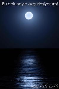 12039403_962156060507157_8454341540304190900_n[2]