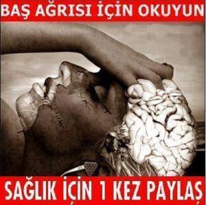 1536728_685078214857037_1290382752_n[1]