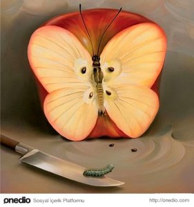 55fc3851116d5aac5a8e1cf2[1]