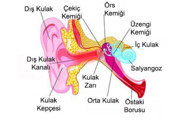 earache-ES-500x325-copy[1]
