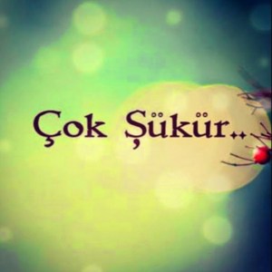 tumblr_nkwnorX9Z01tt9npso1_1280[1]