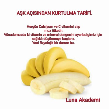 10294225_428054347390860_8679123025446096465_n[1]