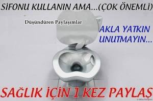 11059646_856636101066417_8325384406115078481_n[1]