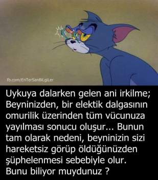 11229690_895534827166998_2690826520827265836_n[2]