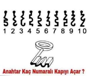 11229901_10205045056058997_2840602433704567030_n1[1]