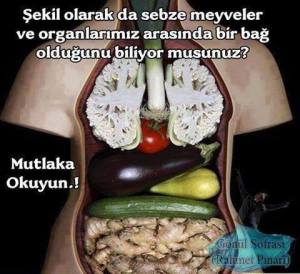 11986507_1153227164693961_4782435625935438423_n[1]