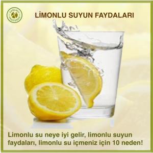 12039525_794616900648042_1403149843747578076_n[1]